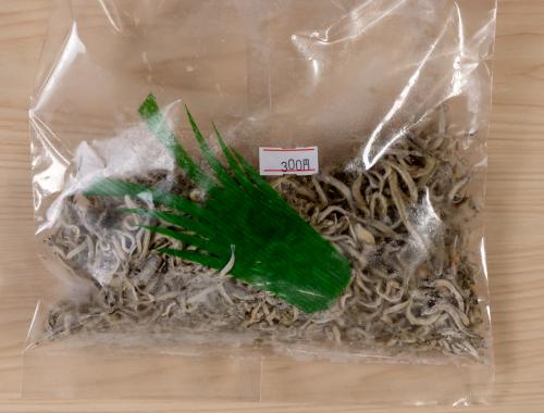 小女子<br>1パック　300円