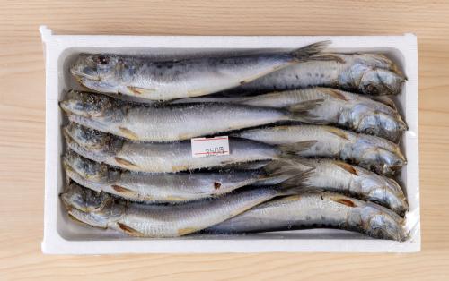 千葉県産イワシ丸干し<br>1パック（10尾入り）350円